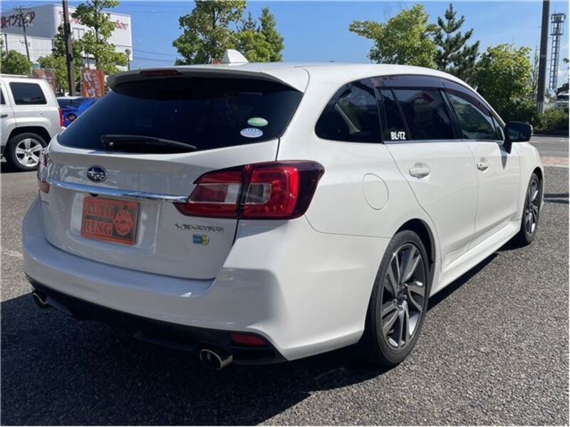 LEVORG