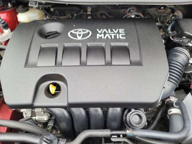 AURIS