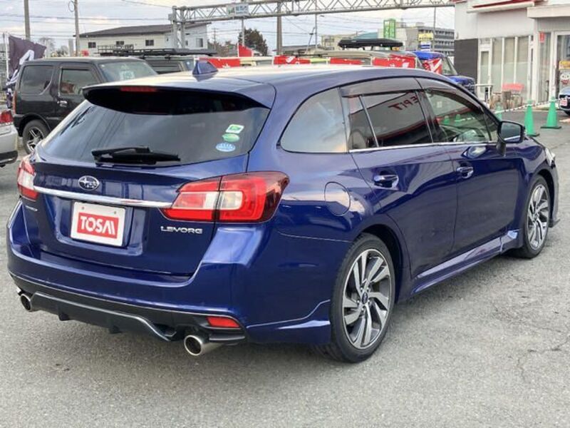 LEVORG