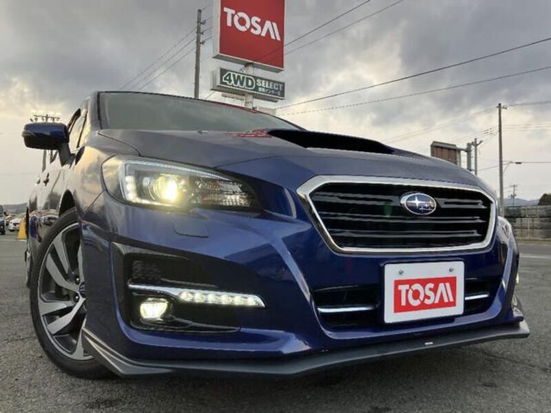 LEVORG