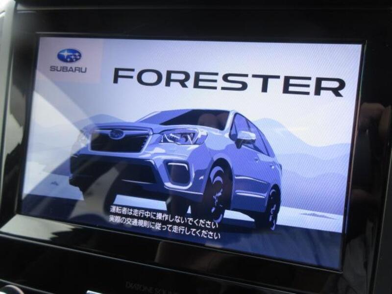 FORESTER