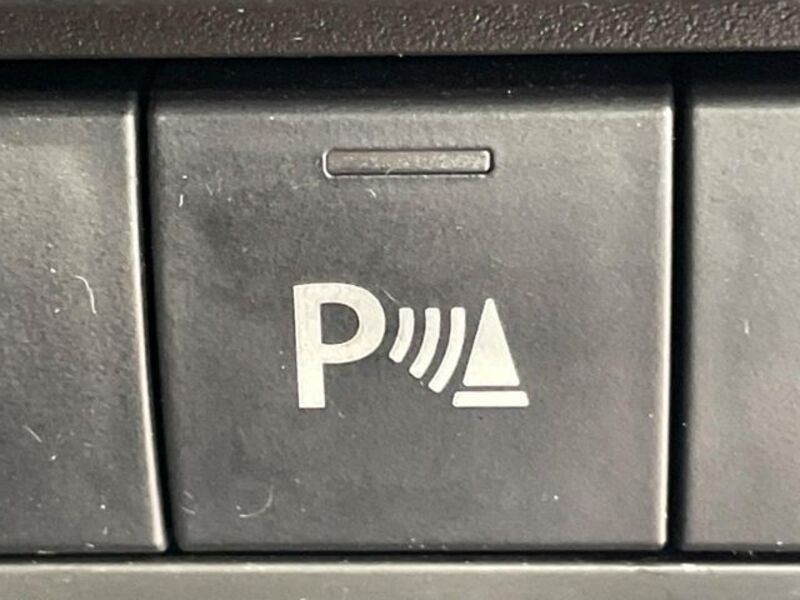 HUSTLER
