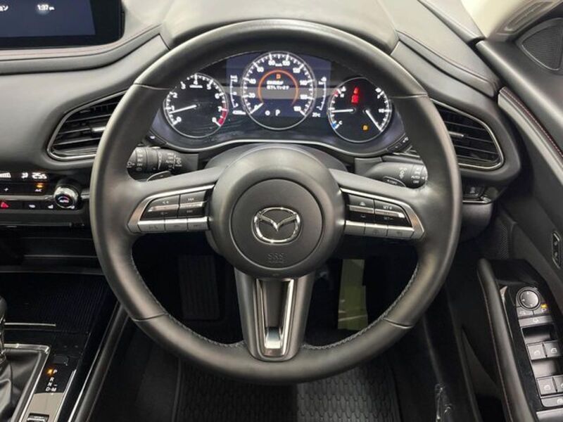 CX-30