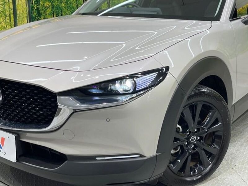 CX-30