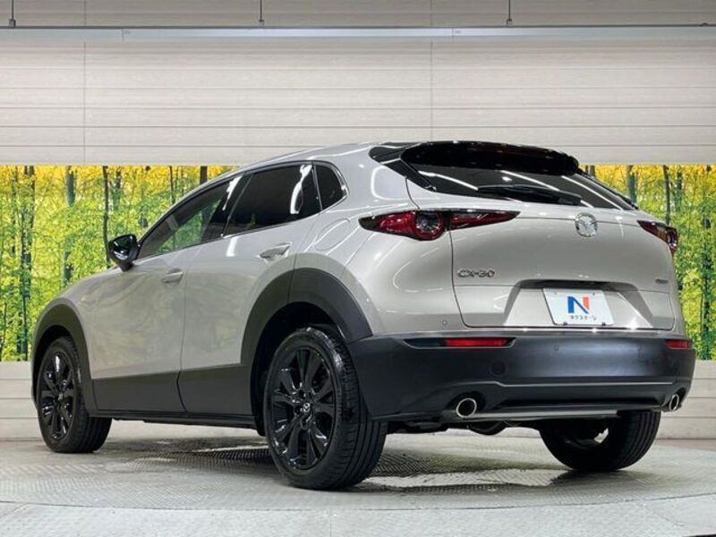 CX-30