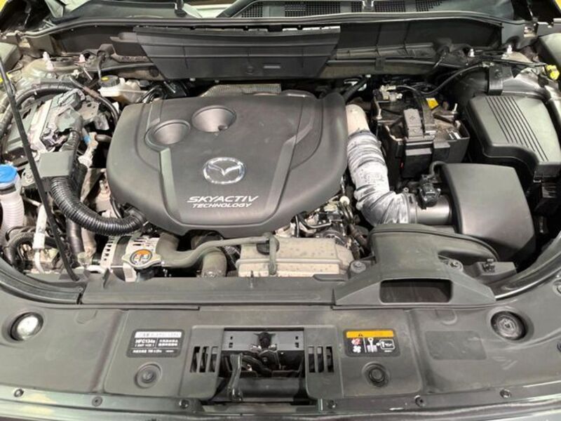 CX-8