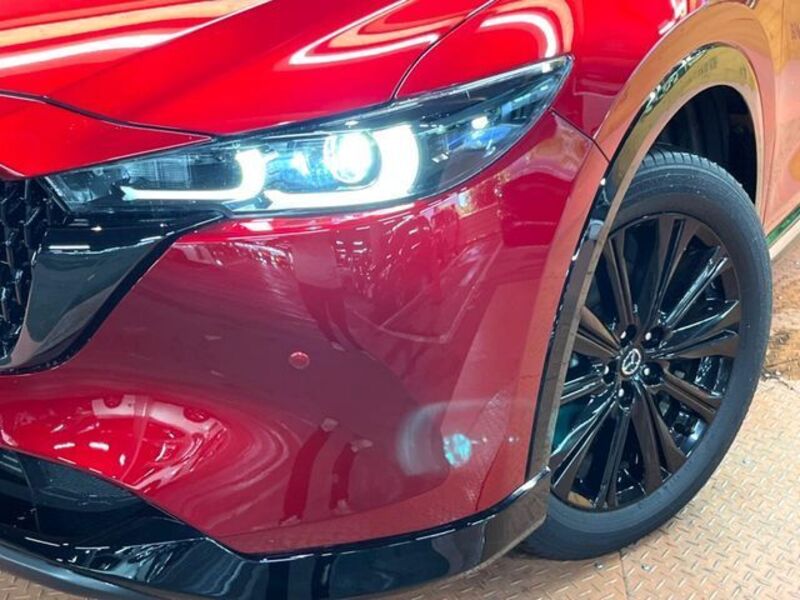 CX-8