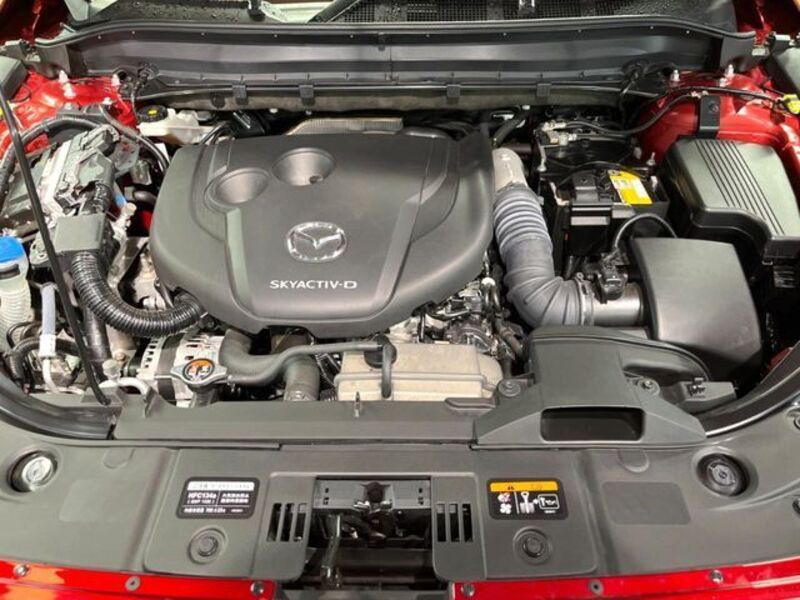 CX-8