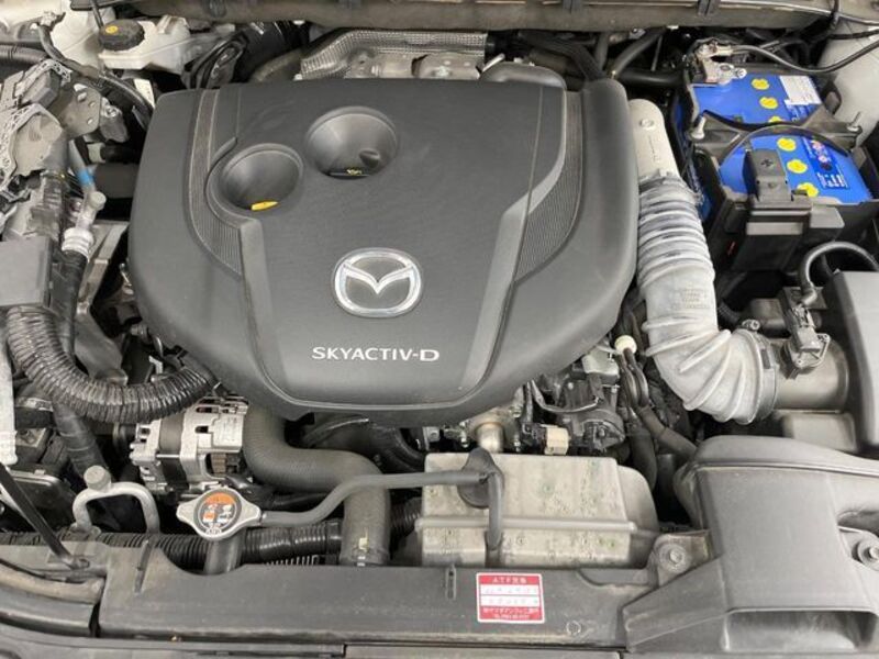 CX-8