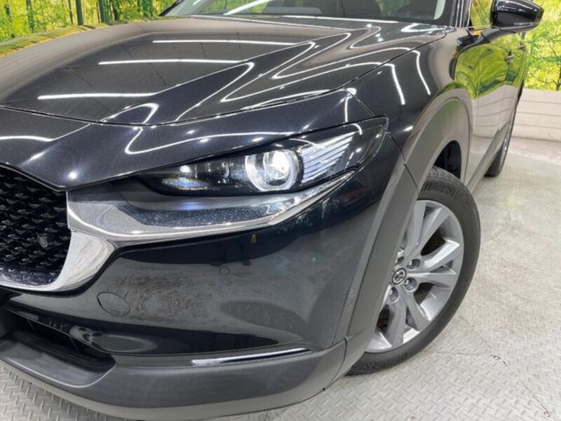 CX-30