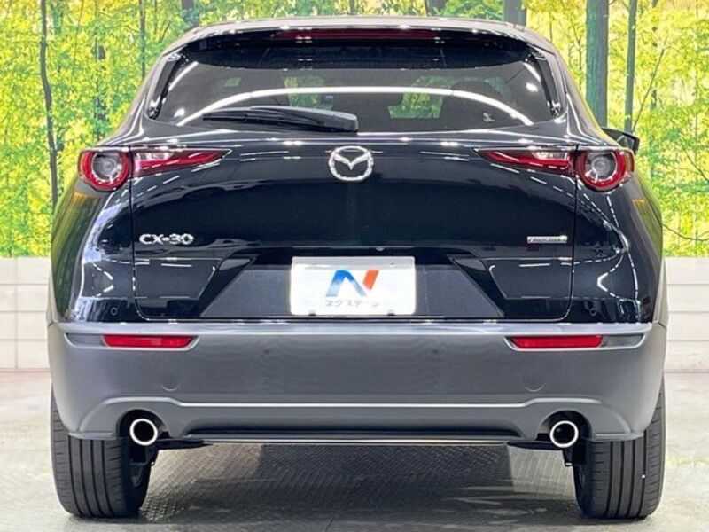 CX-30