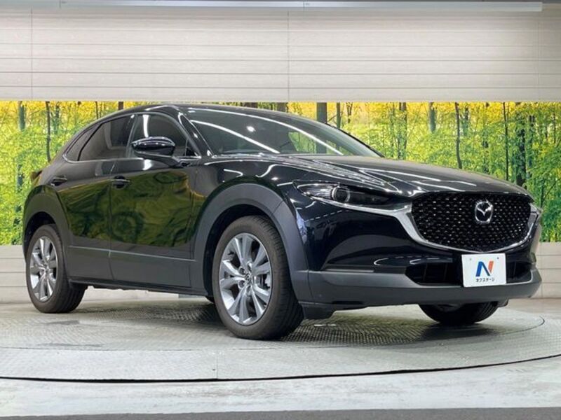 CX-30