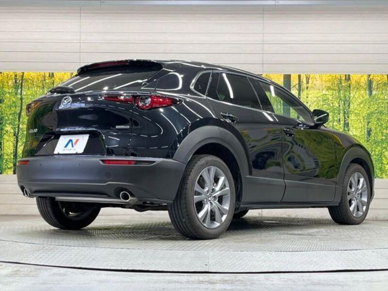 CX-30