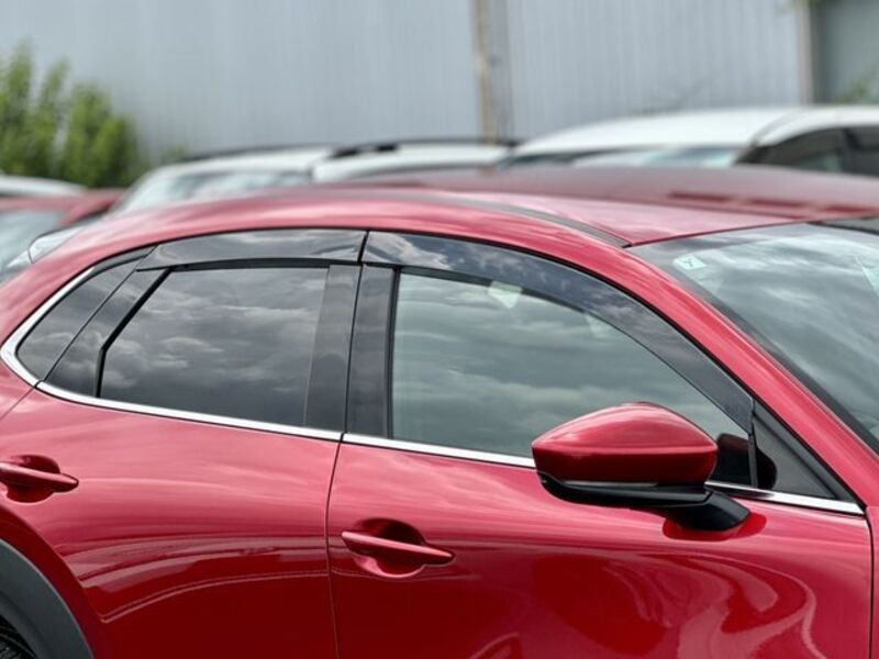 CX-30