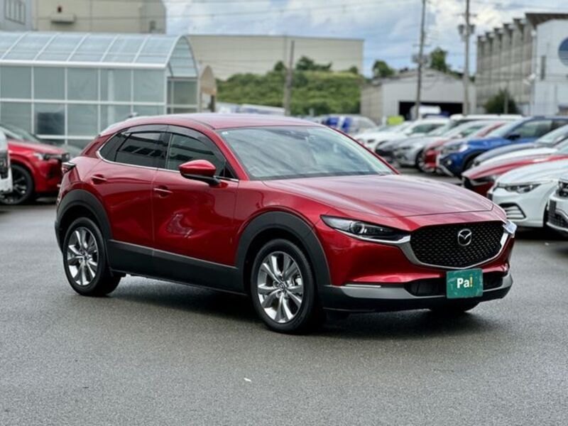 CX-30