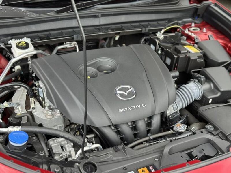 CX-30