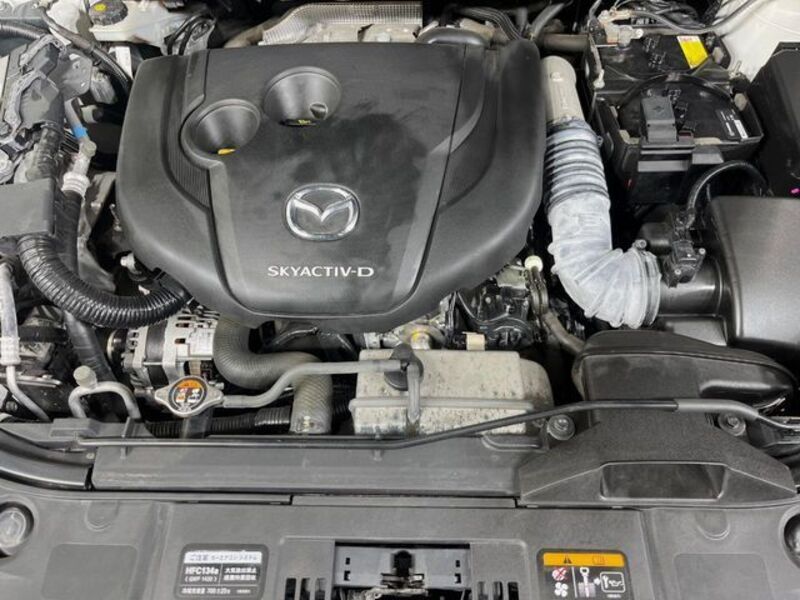 CX-8