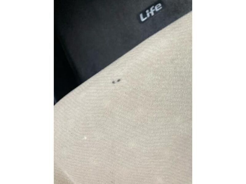 LIFE