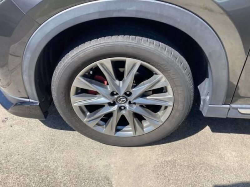 CX-8