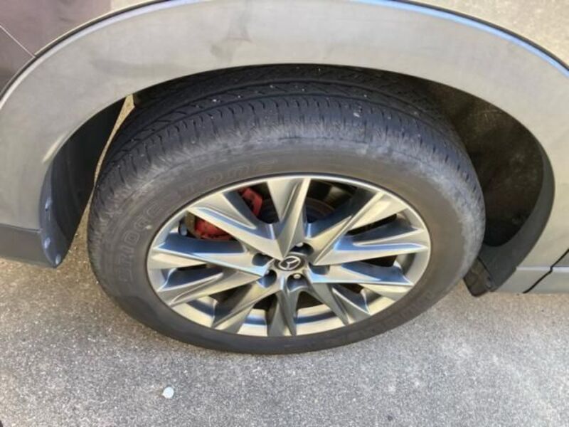 CX-8