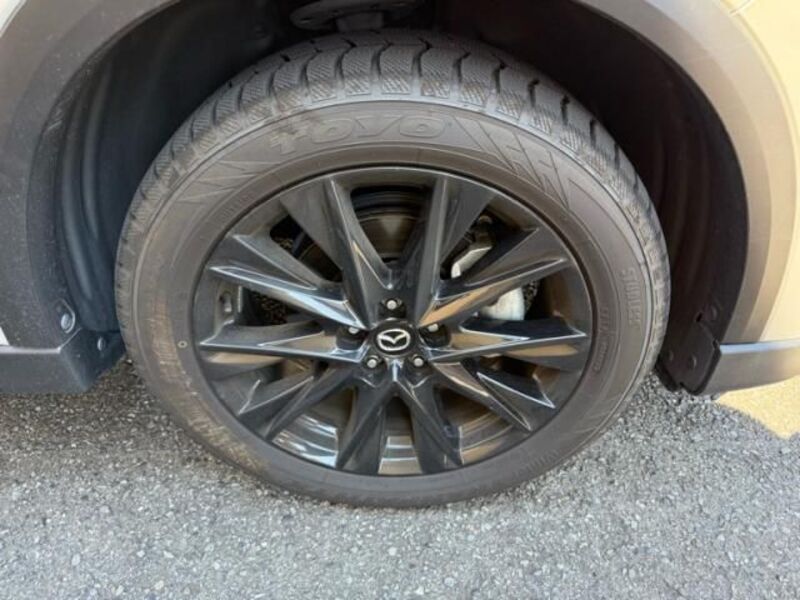 CX-8