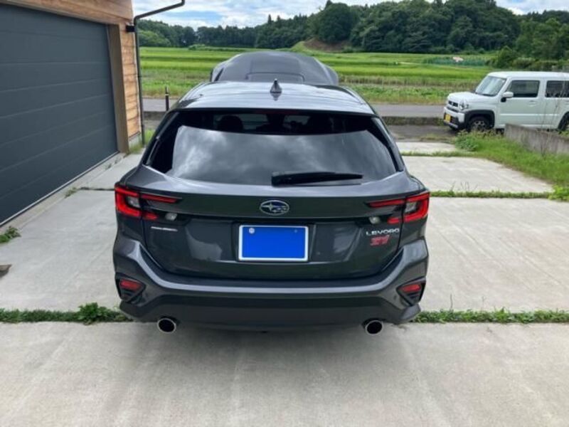 LEVORG