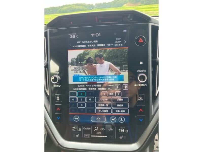 LEVORG