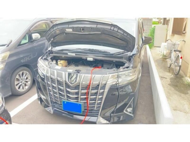 ALPHARD-0