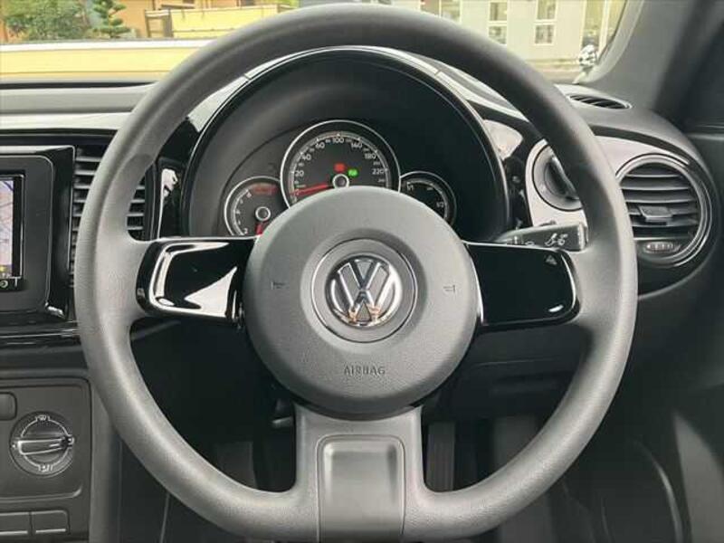 THE BEETLE