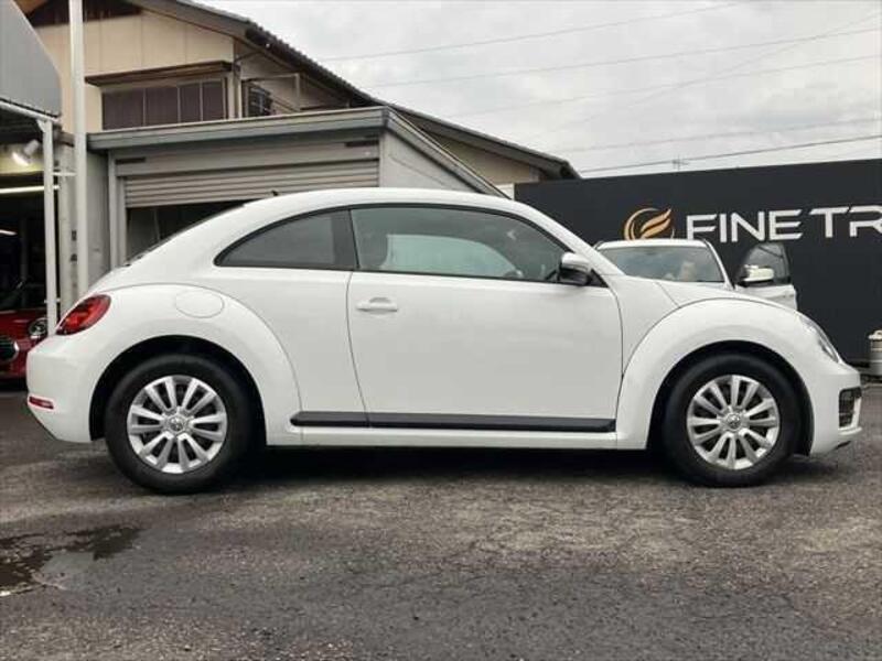 THE BEETLE