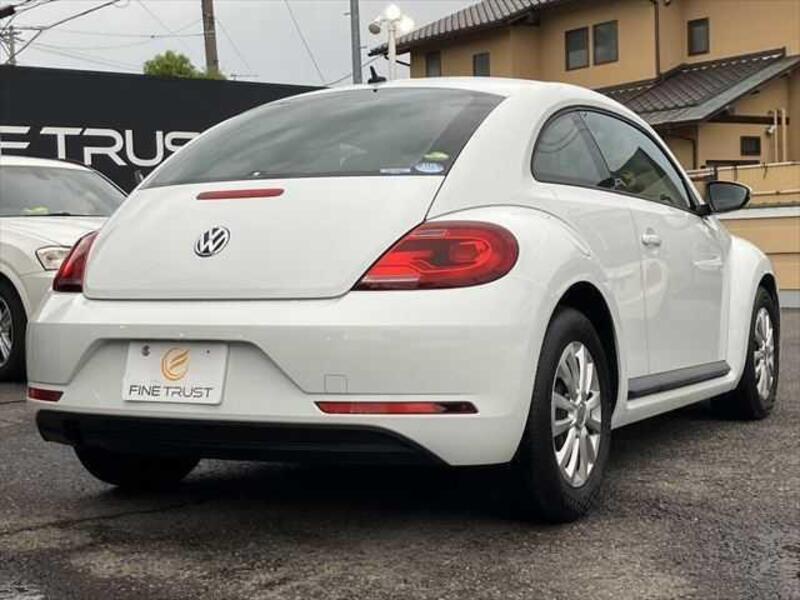 THE BEETLE