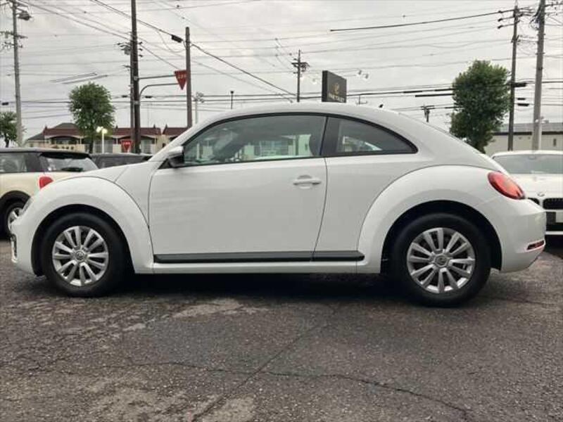 THE BEETLE