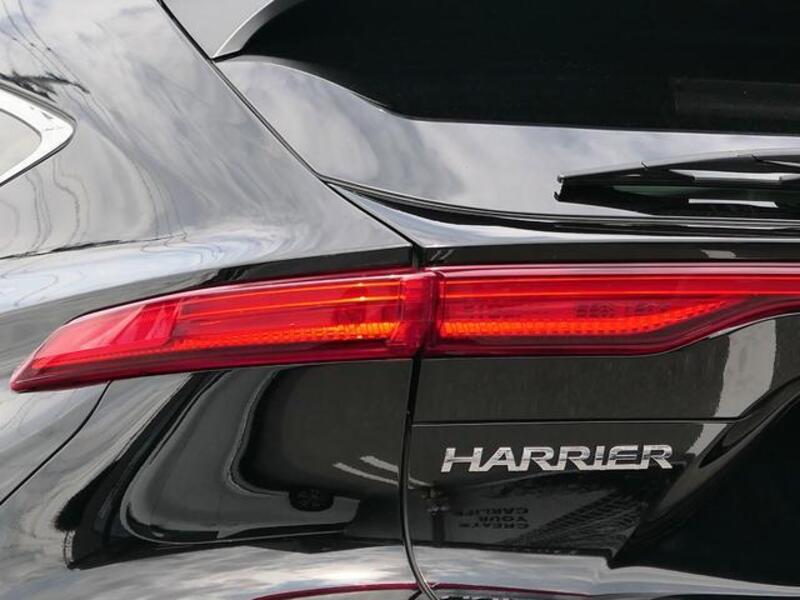 HARRIER