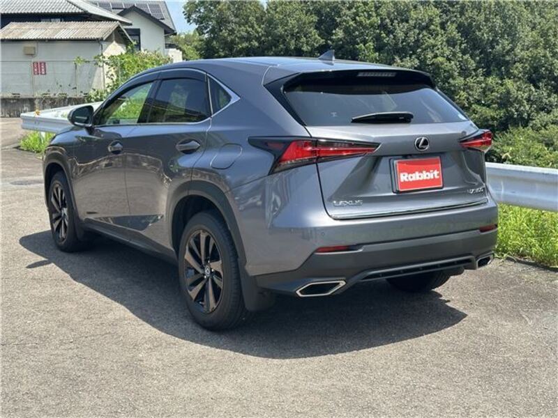 NX