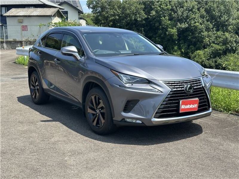 NX