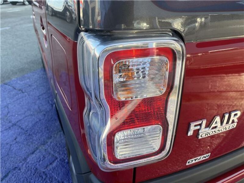 FLAIR CROSSOVER