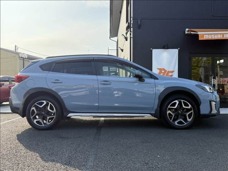 XV