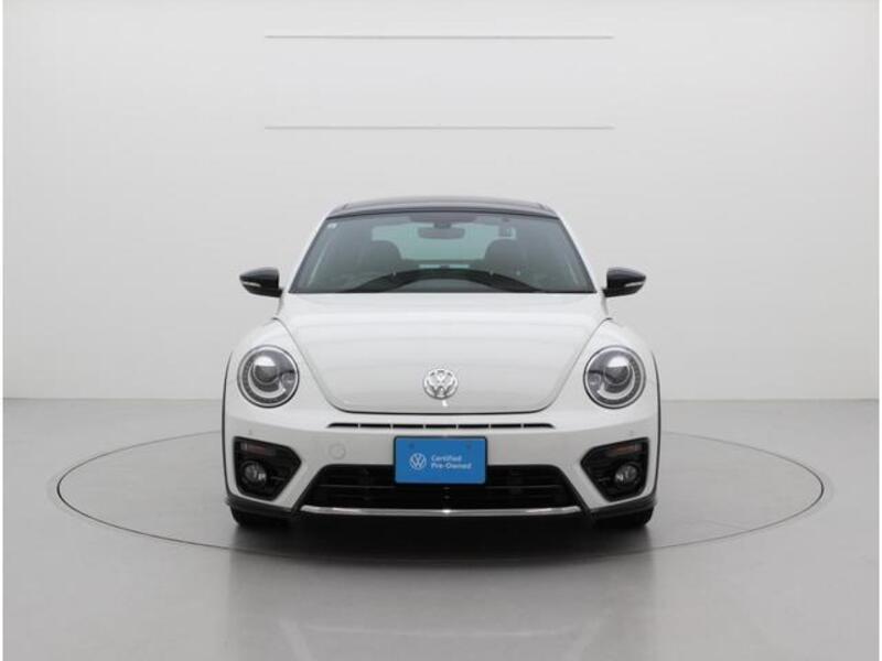 THE BEETLE