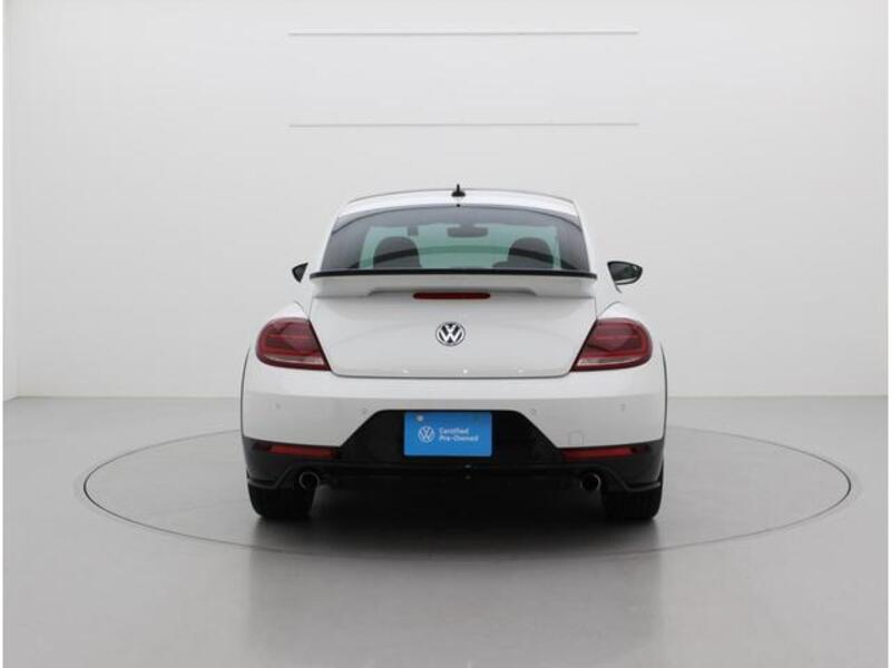 THE BEETLE