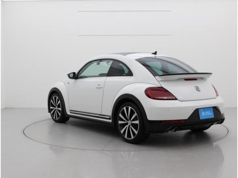 THE BEETLE