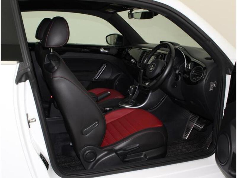 THE BEETLE