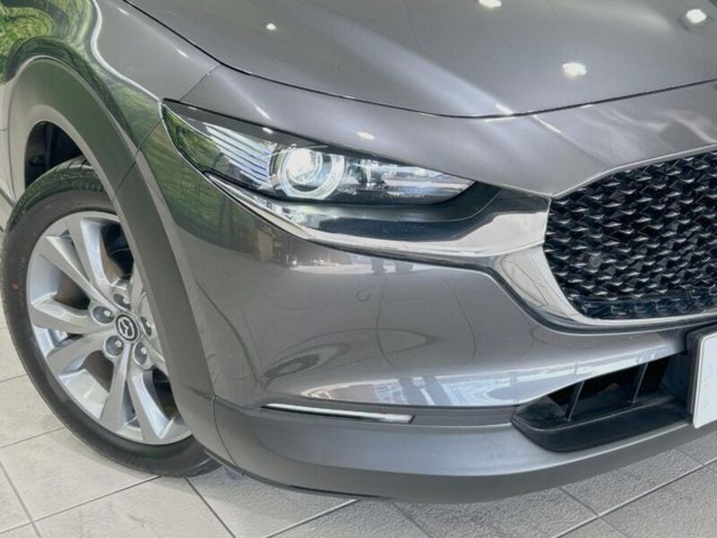 CX-30
