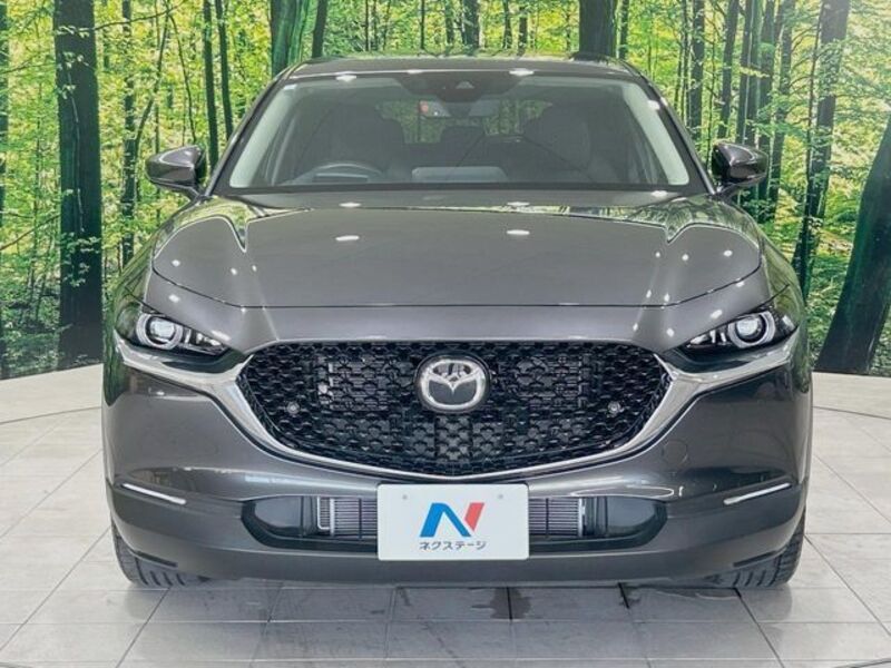 CX-30