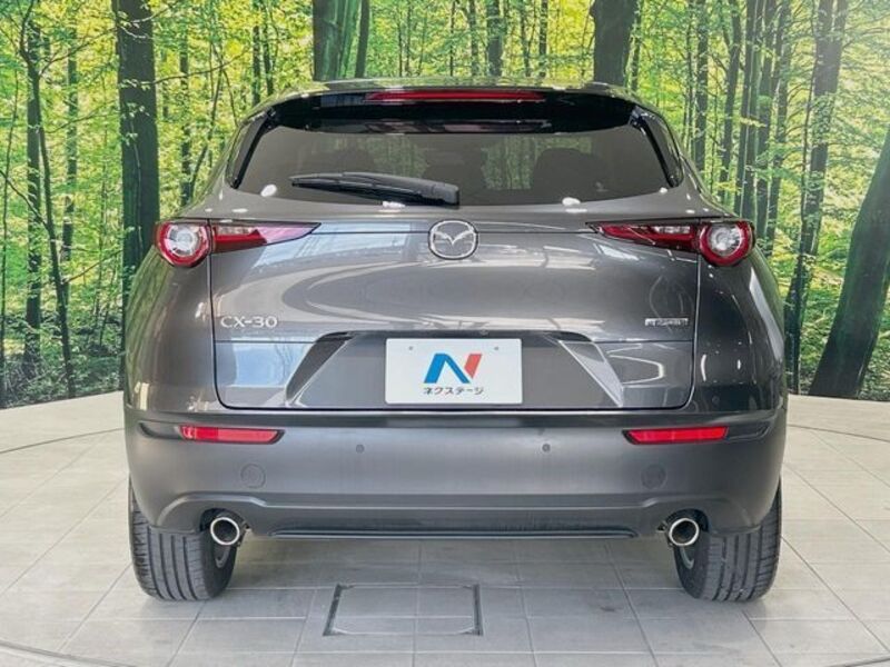 CX-30