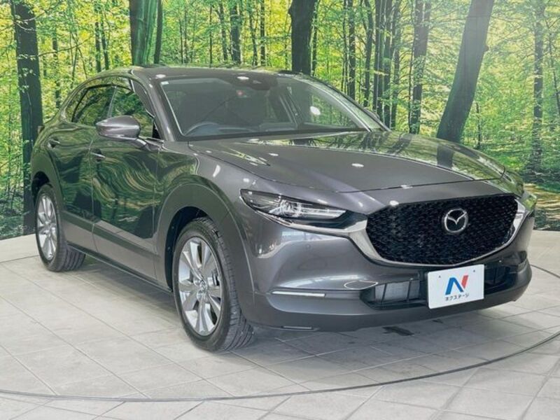 CX-30