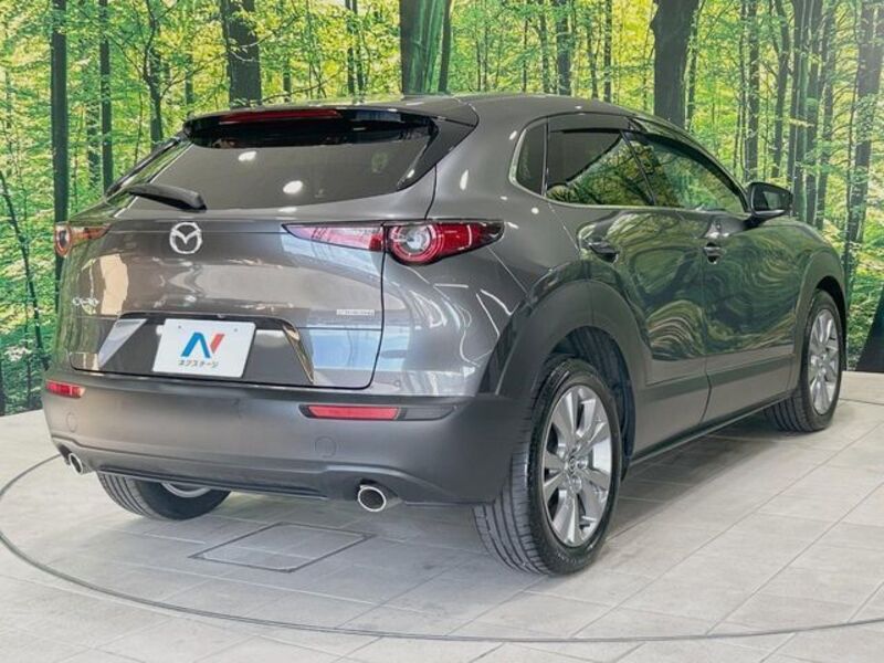 CX-30
