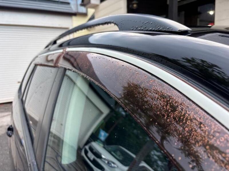 GOLF VARIANT