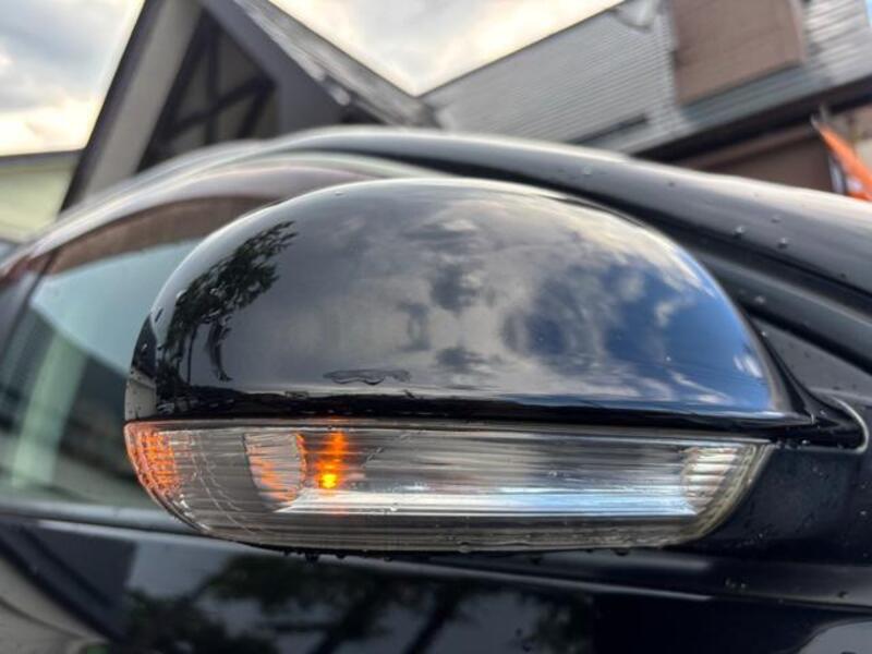 GOLF VARIANT
