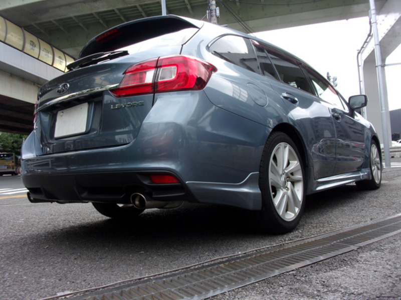 LEVORG