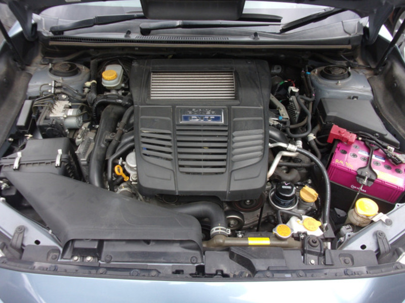 LEVORG
